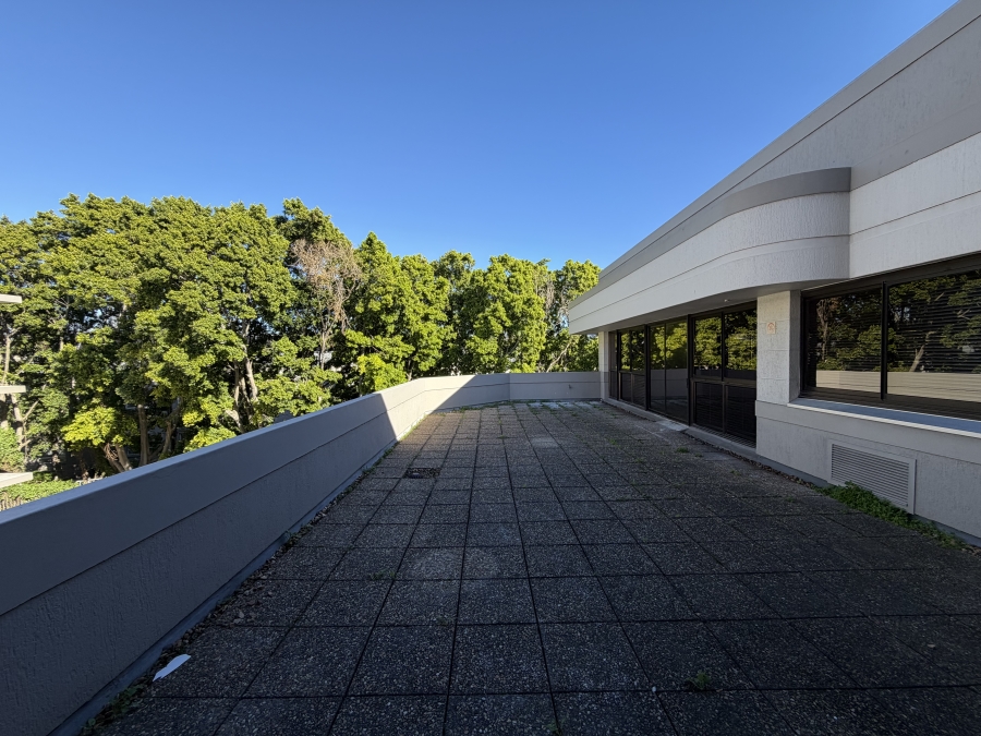 To Let Commercial Property for Rent in Mowbray Western Cape